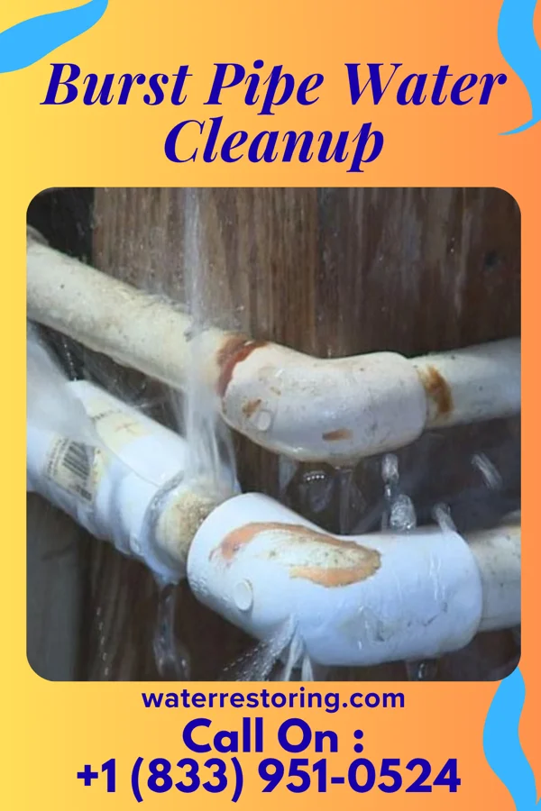 Burst Pipe Water Cleanup in Jonesboro, IN