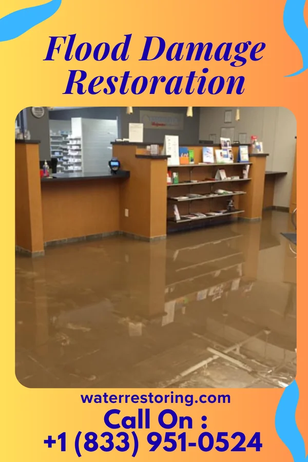Flood Damage Restoration in Jonesboro, IN