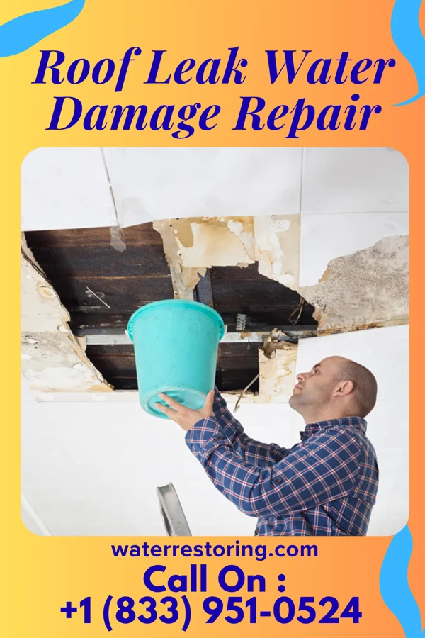 Roof Leak Water Damage Repair in Jonesboro, IN