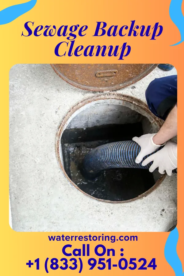 Sewage Backup Cleanup in Jonesboro, IN