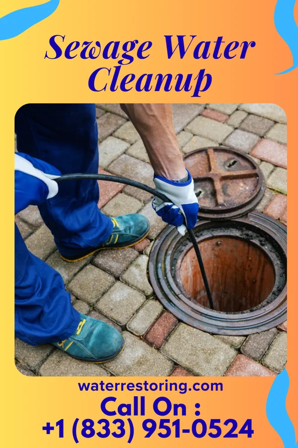 Sewage Water Cleanup in Jonesboro, IN